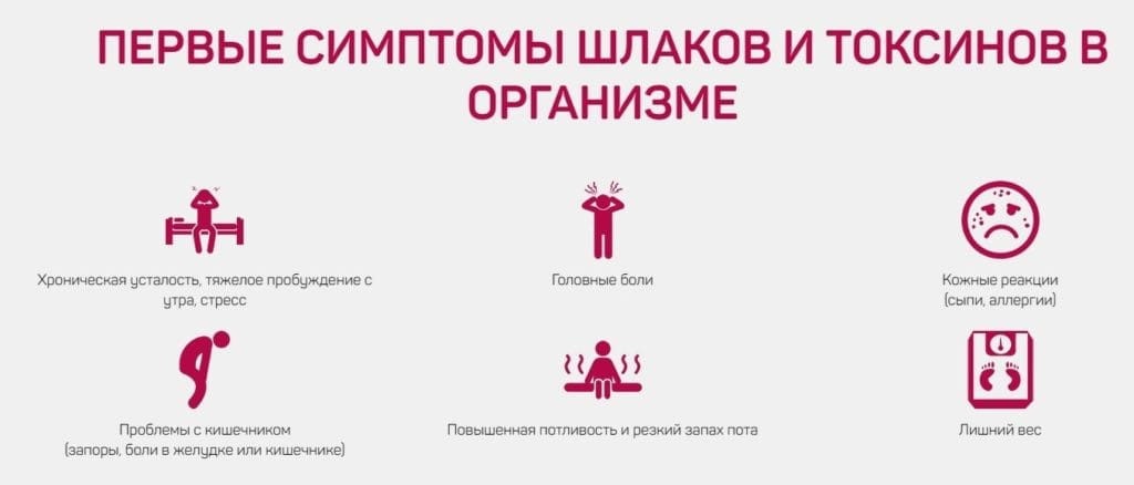 Токсины в организме. Признаки токсинов и шлаков в организме. Что такое токсины в организме человека.