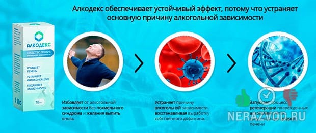 запрет на прием алкоголя
