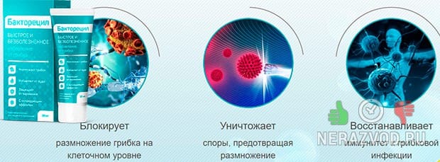 ΠΠ°ΠΊΡΠΎΡΠ΅ΡΠΈΠ» ΠΎΡ ΠΌΠΈΠΊΠΎΠ·Π°