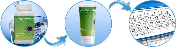 Инструкция по применению препарата Chondroxin.