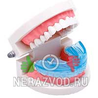 Капа Dental Trainer