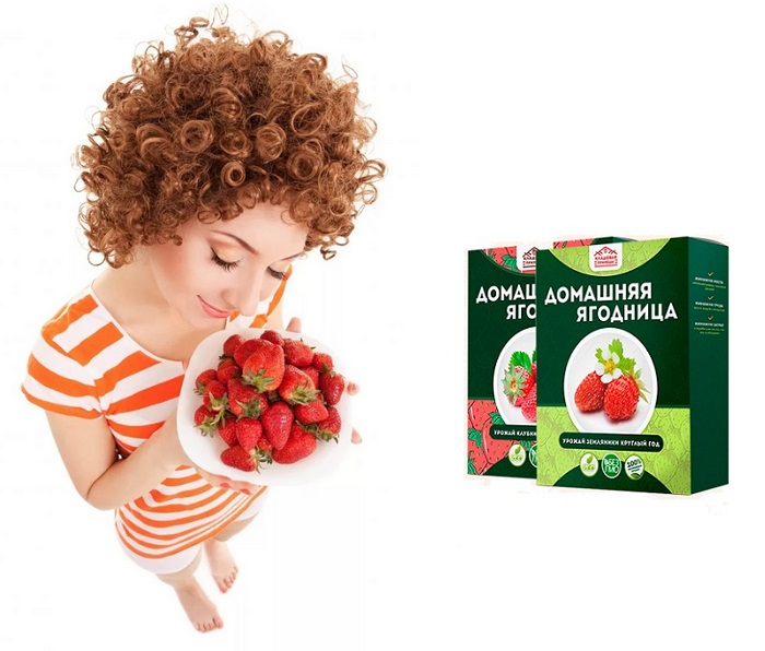 Домашняя ягодница Кладовая природы сказочный сбор для выращивания клубники: до 10 кг в месяц!