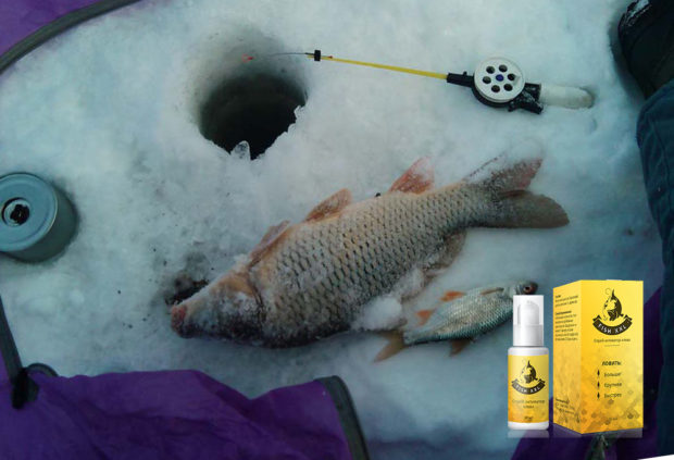 Fish XXL для зимней рыбалки отзывы