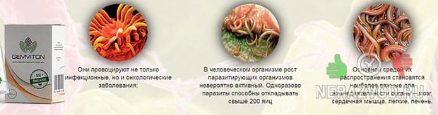 Gemviton - порошок от гельминтов и паразитов