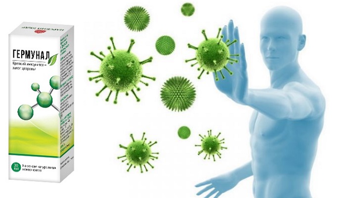 Гермунал капли для повышения иммунитета: эффективно повышает сопротивляемость организма!
