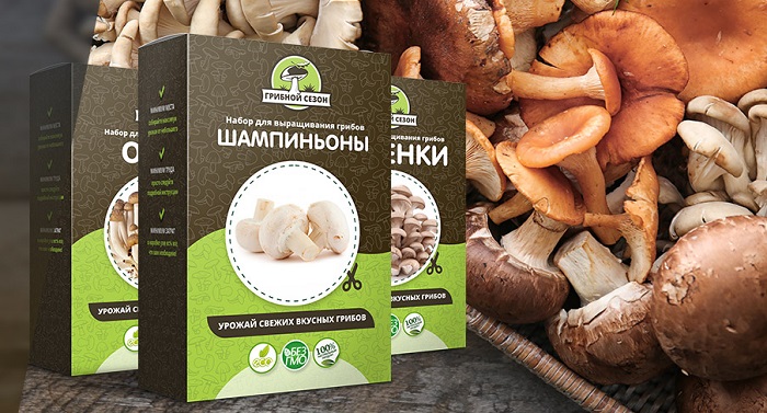 Грибной сезон набор для выращивания грибов в домашних условиях: ароматные вкусные грибы целый год!