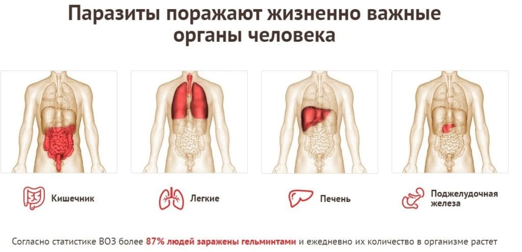 Параксан от паразитов - показания к применению