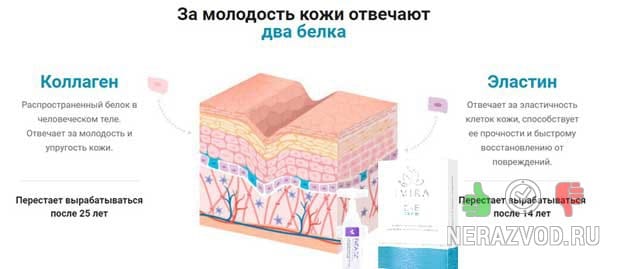 ΠΌΠΎΡΡΠΈΠ½Ρ