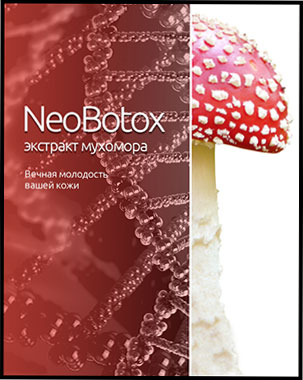 netobox