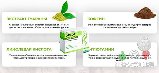 Орсофит для похудения