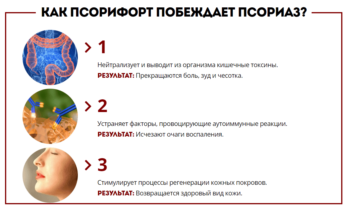 Механизм действия Механизм действия