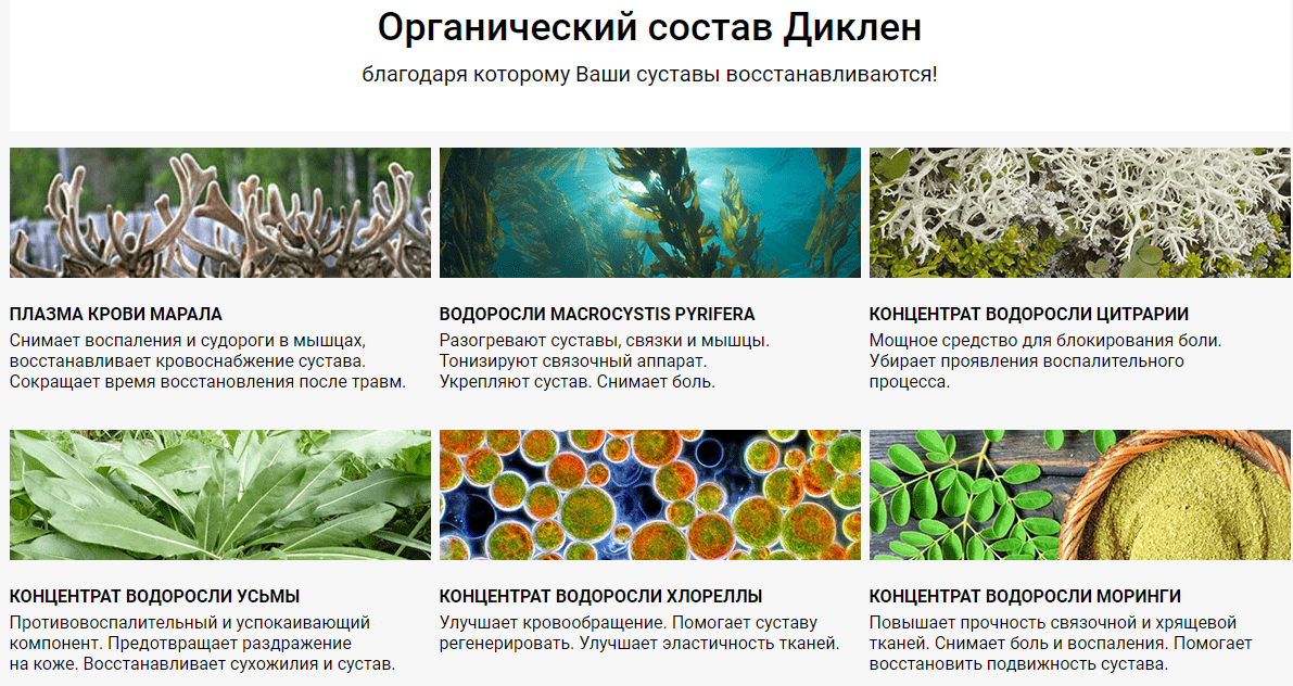 состав