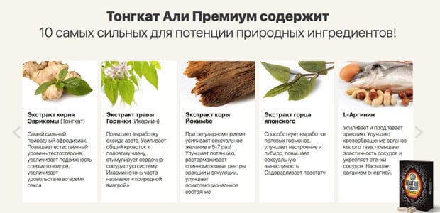 состав