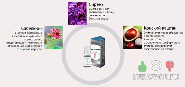 шишка на ногах